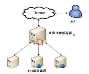 Squids reverse proxy topology